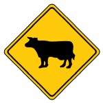 Trubicars Cattle Crossing Ahead